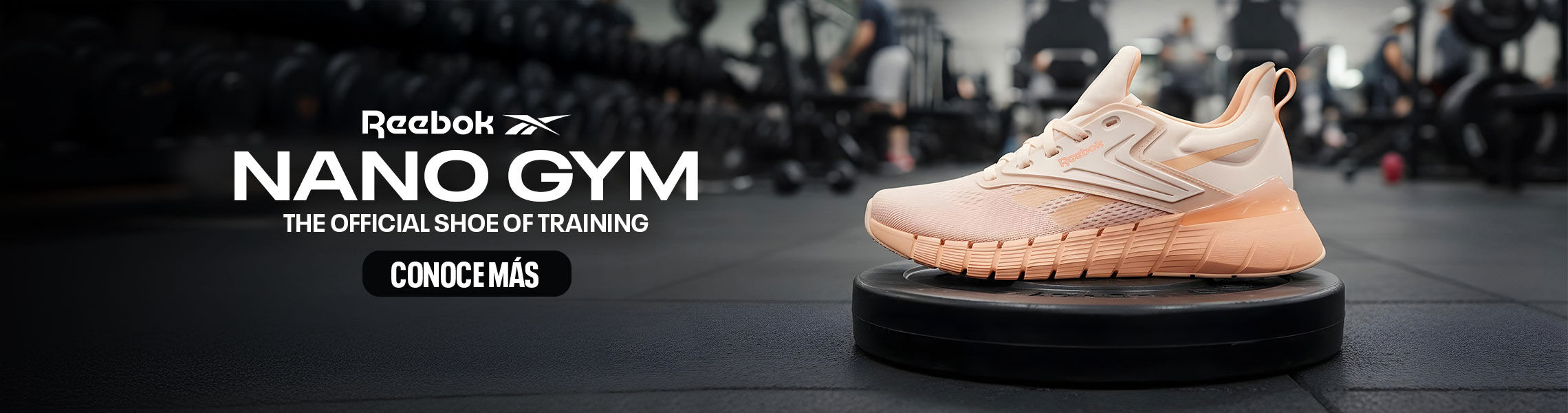 Conoce Nano Gym, la mejor opci&oacute;n para entrenar