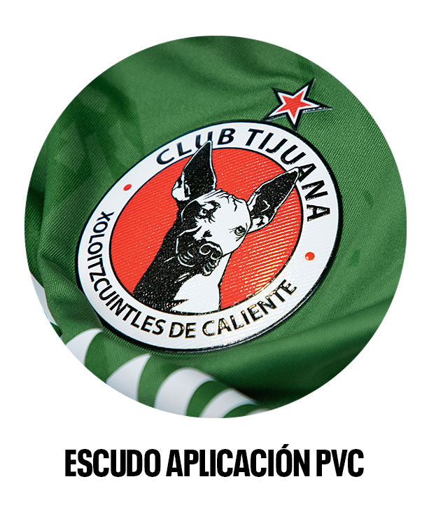 Detalle thumb escudo Xoloitzcuintles en PVC sobre jersey verde.