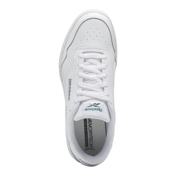 Tenis bull terrier sales advance